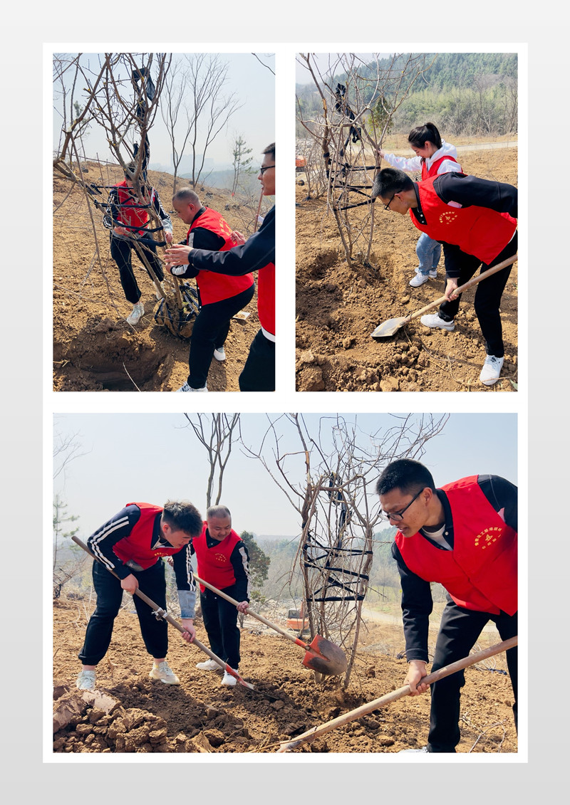 165235-679136.jpg 植樹節(jié)活動2_副本.jpg