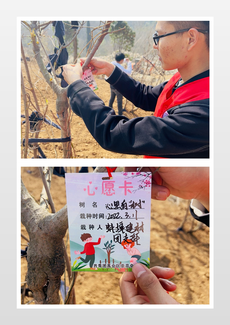 165256-946258.jpg 植樹節(jié)活動3_副本.jpg