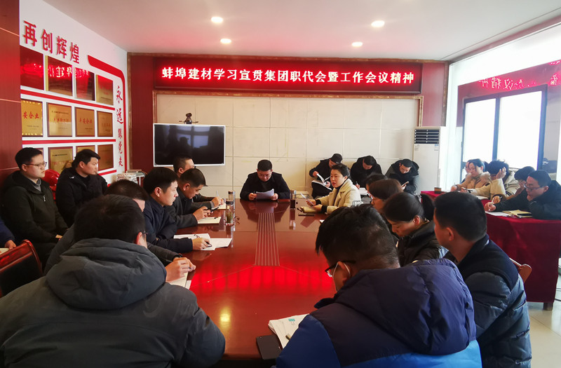 蚌埠建材學習宣貫職代會暨工作會議精神_副本.jpg