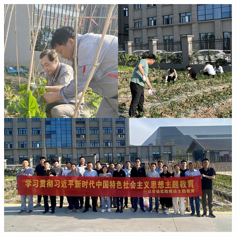 090255-183383.jpg 3x.jpg